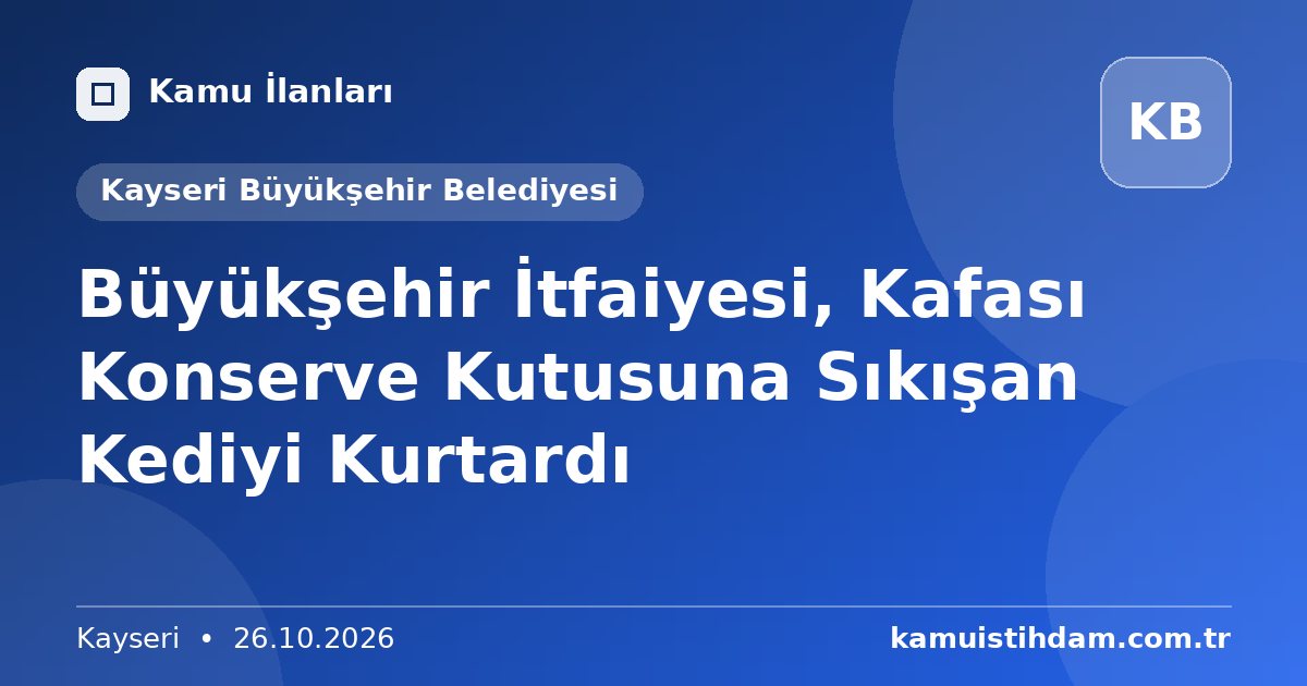 Büyükşehir İtfaiyesi, Kafası Konserve Kutusuna Sıkışan Kediyi Kurtardı - Kayseri Büyükşehir Belediyesi