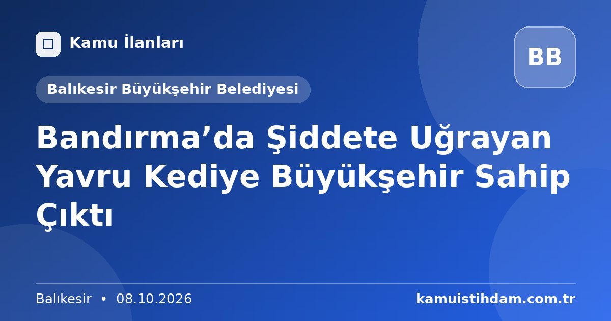 Bandırma’da Şiddete Uğrayan Yavru Kediye Büyükşehir Sahip Çıktı - Balıkesir Büyükşehir Belediyesi