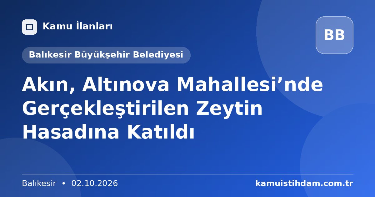 Akın, Altınova Mahallesi’nde Gerçekleştirilen Zeytin Hasadına Katıldı - Balıkesir Büyükşehir Belediyesi