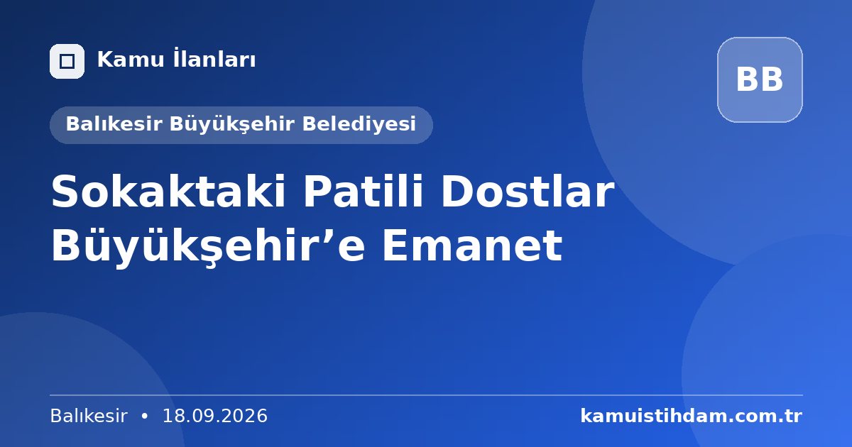 Sokaktaki Patili Dostlar Büyükşehir’e Emanet - Balıkesir Büyükşehir Belediyesi
