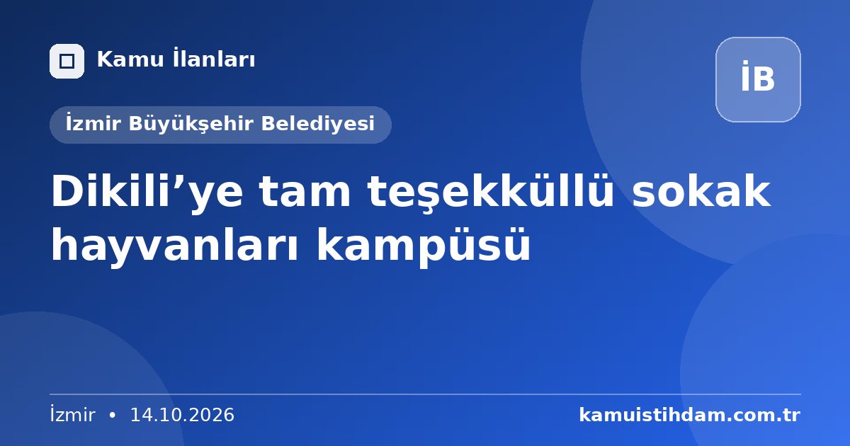 ​Dikili’ye tam teşekküllü sokak hayvanları kampüsü - İzmir Büyükşehir Belediyesi