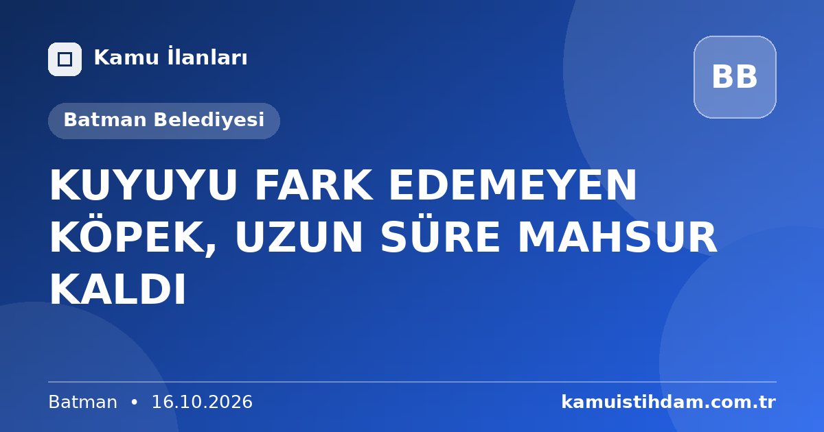 KUYUYU FARK EDEMEYEN KÖPEK, UZUN SÜRE MAHSUR KALDI - Batman Belediyesi